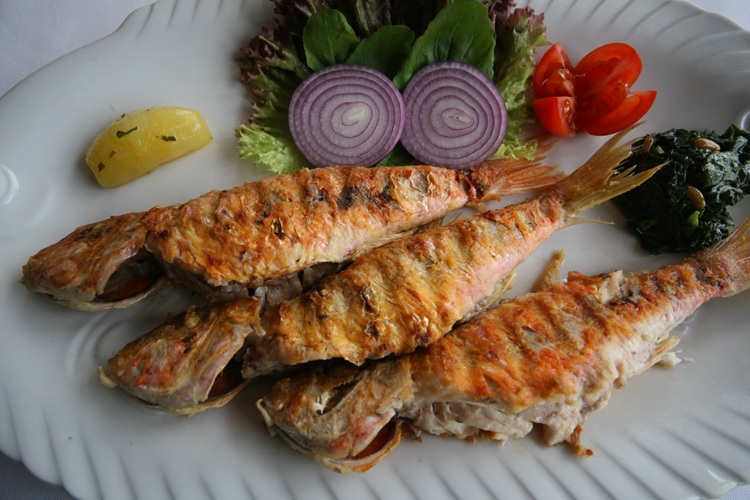 Tunceli Balık Çeşitleri