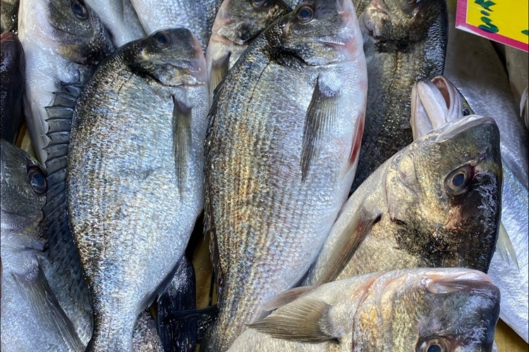 Şile Çupra Satışı