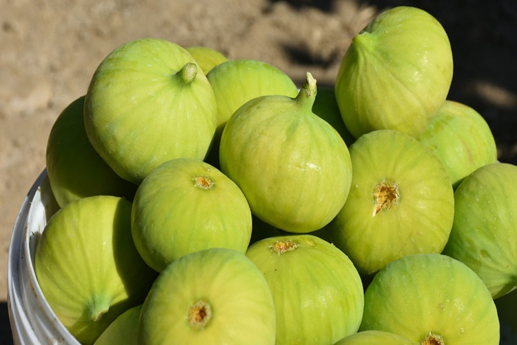 Bozdoğan İncir Alım Satımı