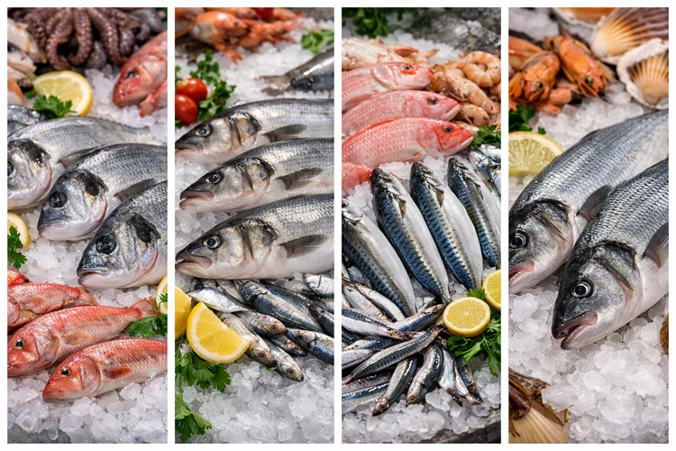 Talas Çiğ Balık Satışı