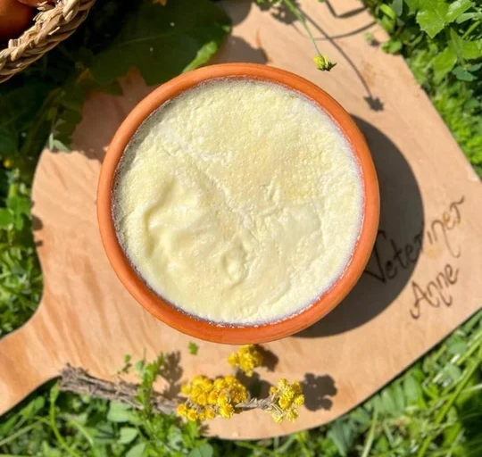 Kayseri Manda Yoğurdu Satışı Kısa Kılavuz