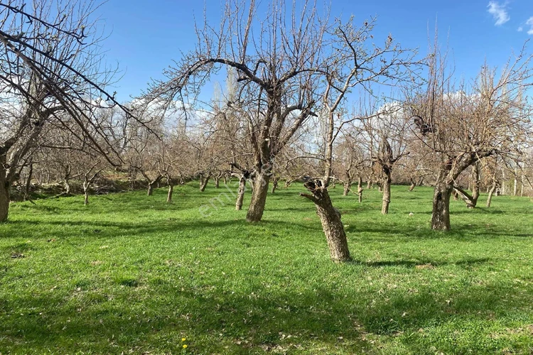 Şile Bağ Bahçe Alım Satım İçin Pratik Öneriler