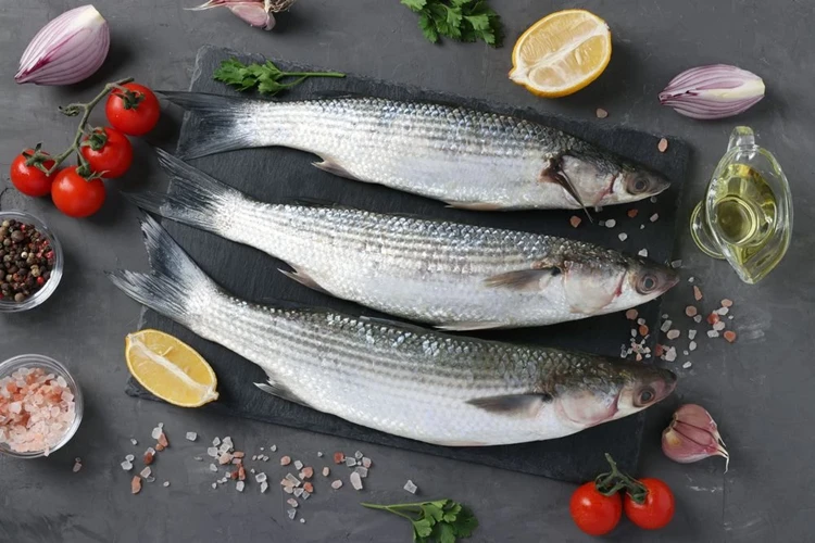 Selimiye Taze Günlük Balık Sık Hatalar ve Çözümler