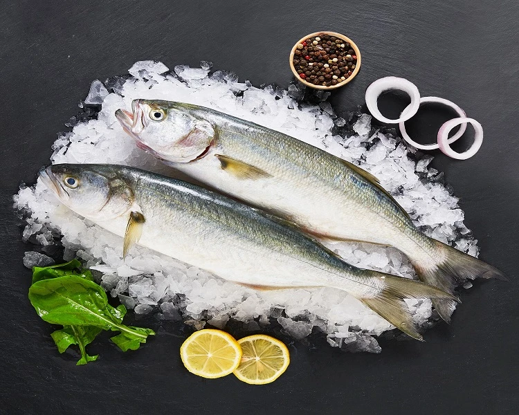 Şanlıurfa Lüfer Balık Satışı Kısa Kılavuz