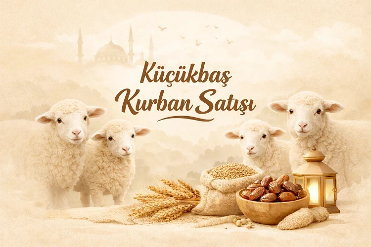 Bodrum Küçükbaş Kurban Satışı Hakkında Merak Edilenler