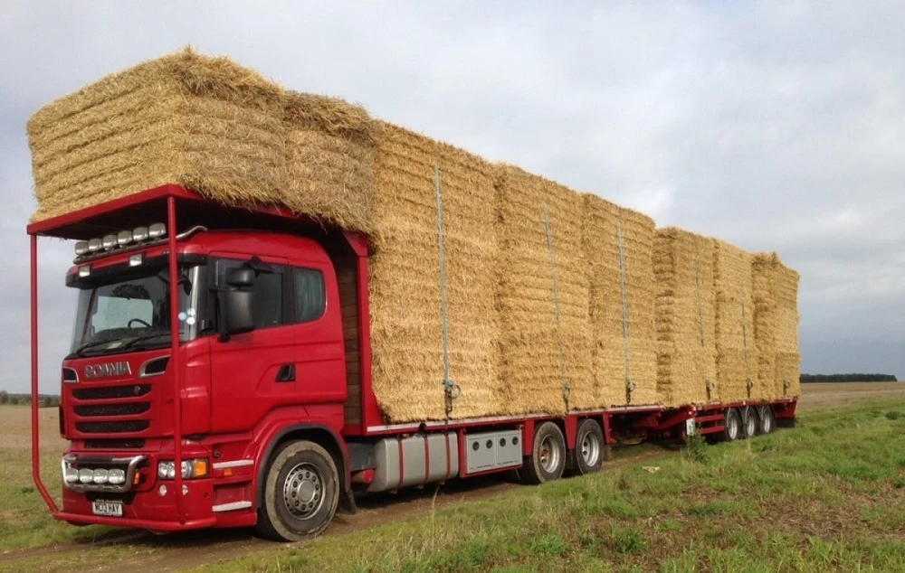 Saman Taşımacılığı Sık Hatalar ve Çözümler