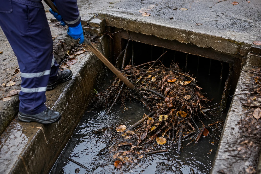 Beşiktaş Logar Temizliği Süreci: Adım Adım